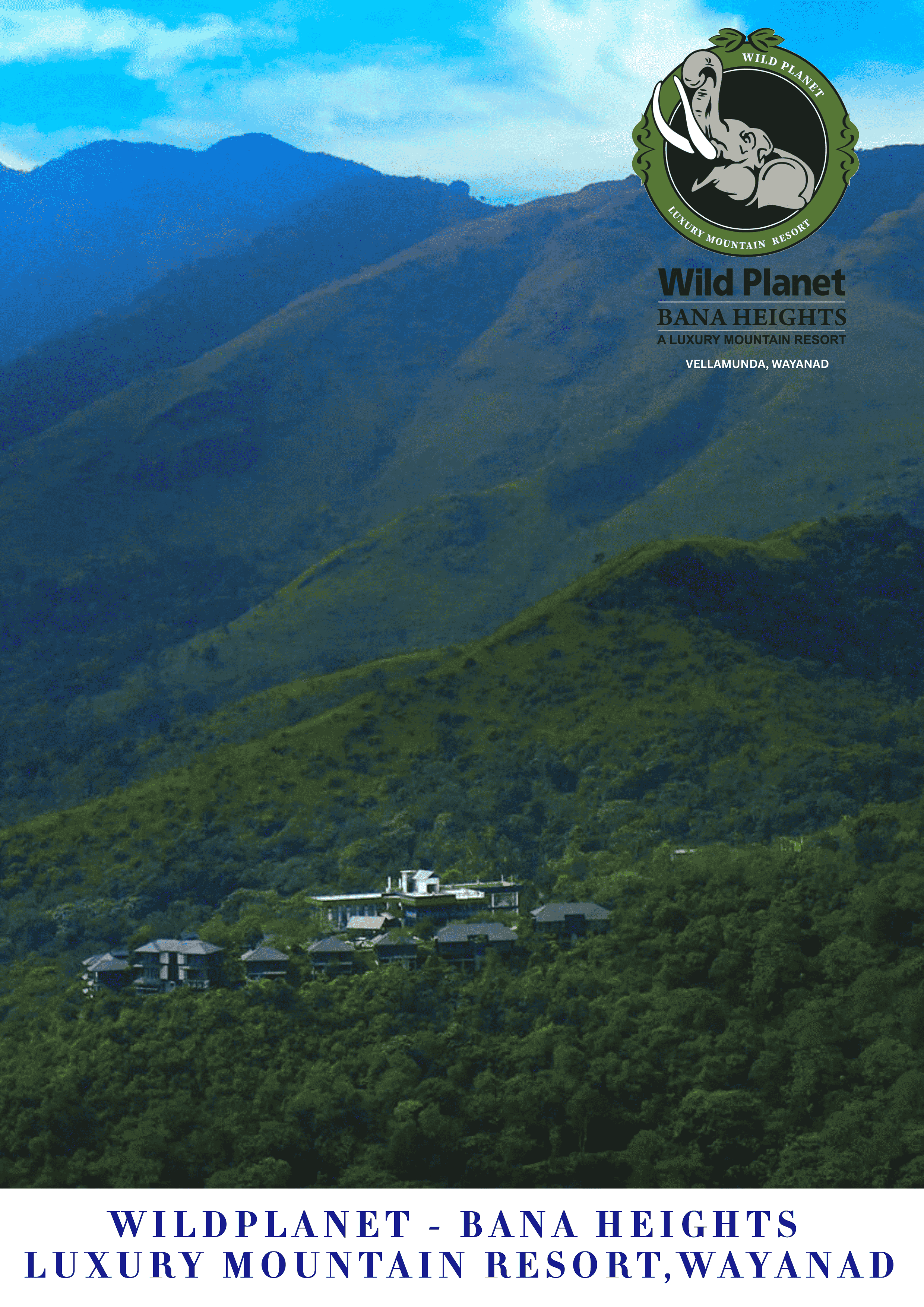 Descriptive Alt Text