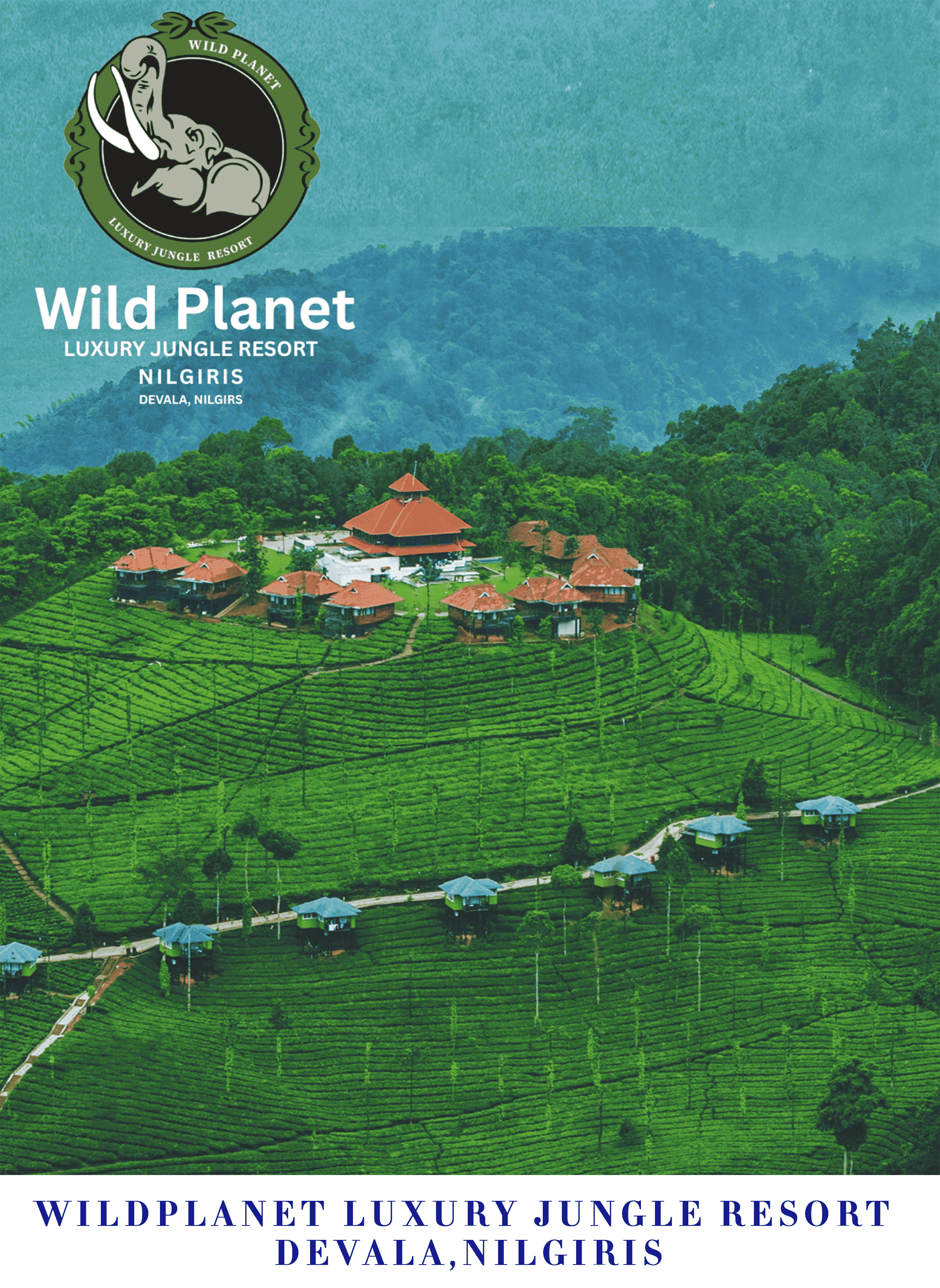 Descriptive Alt Text