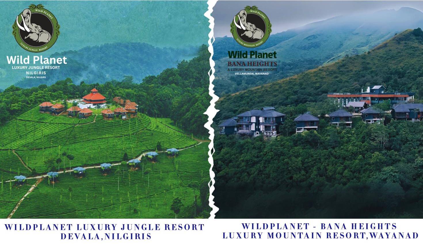 Descriptive Alt Text