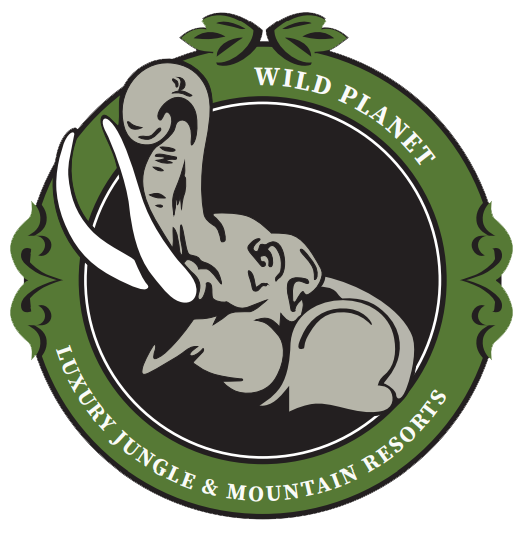 Wild Planet Logo